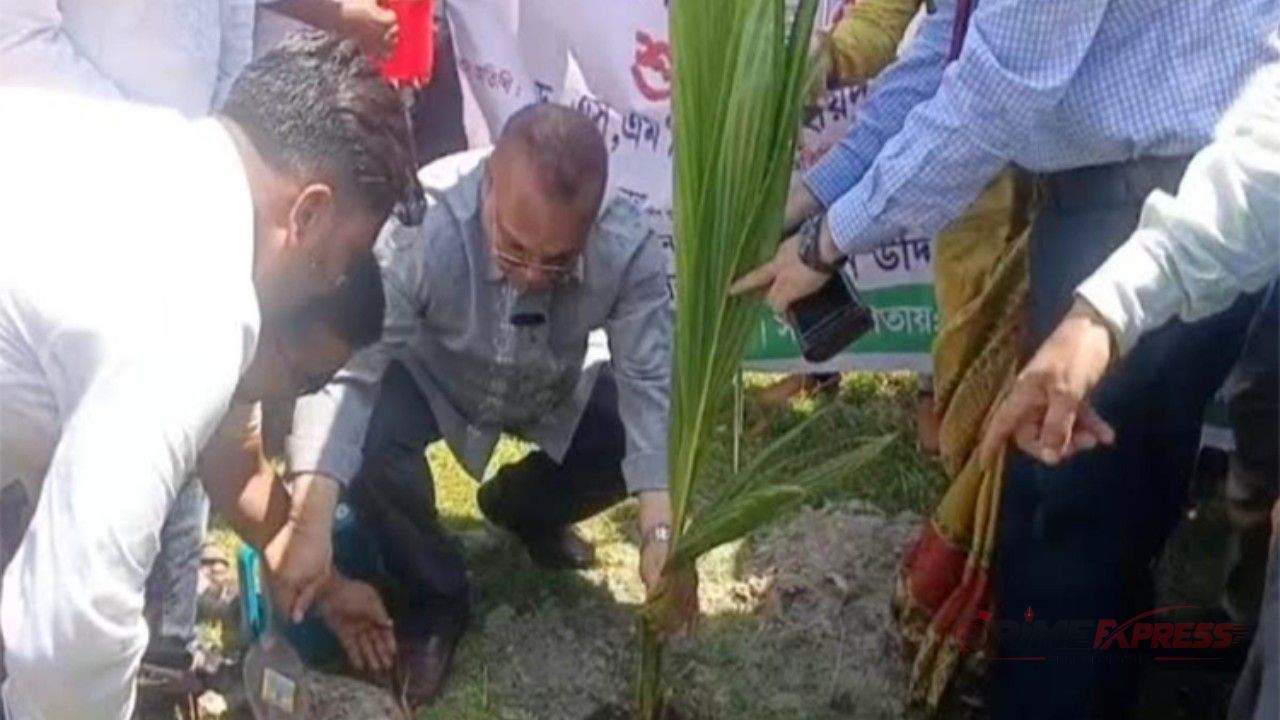পরিবেশ রক্ষায় ধানসিঁড়ি ইকো ভিলেজে নারিকেল চারা রোপণ