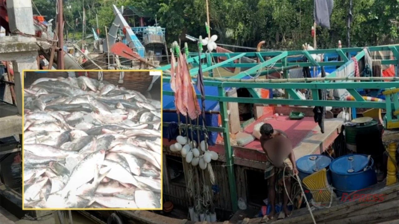 দীর্ঘদিনের হতাশার পর এক জালেই ১০০ মণ ইলিশ