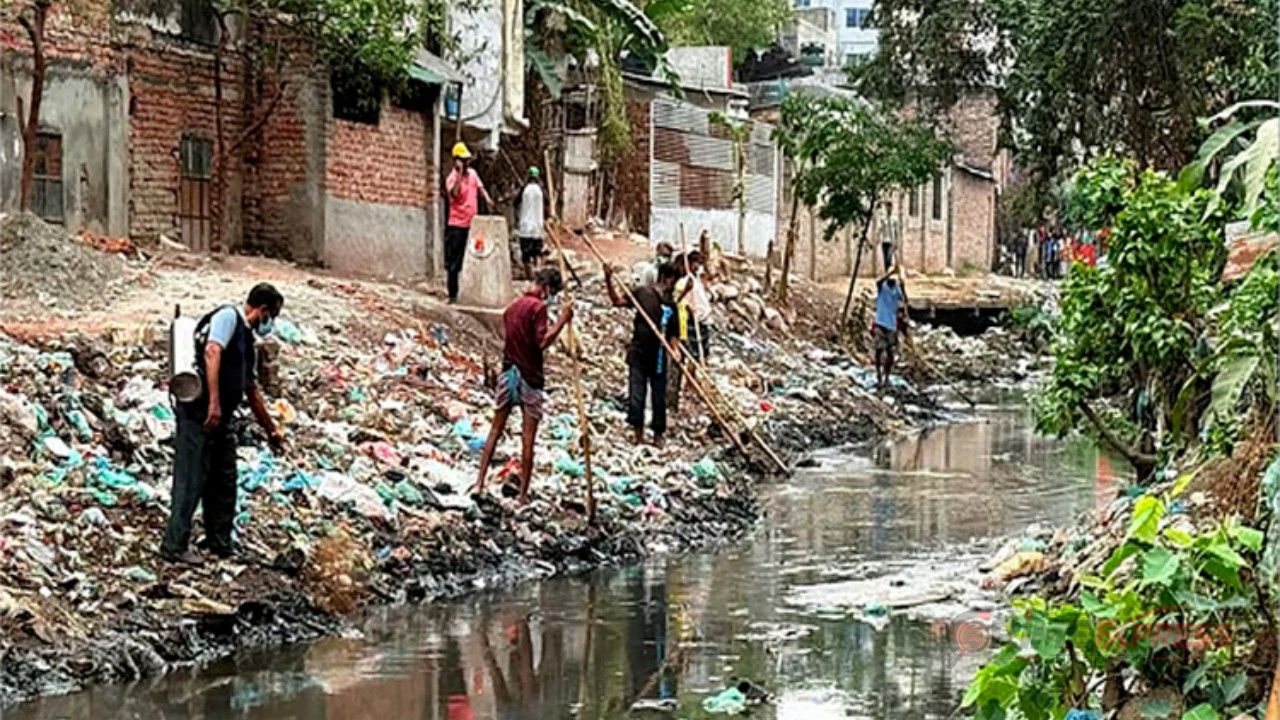 ডেঙ্গু নিয়ন্ত্রণে প্রতি শনিবার বিশেষ অভিযান ডিএনসিসির